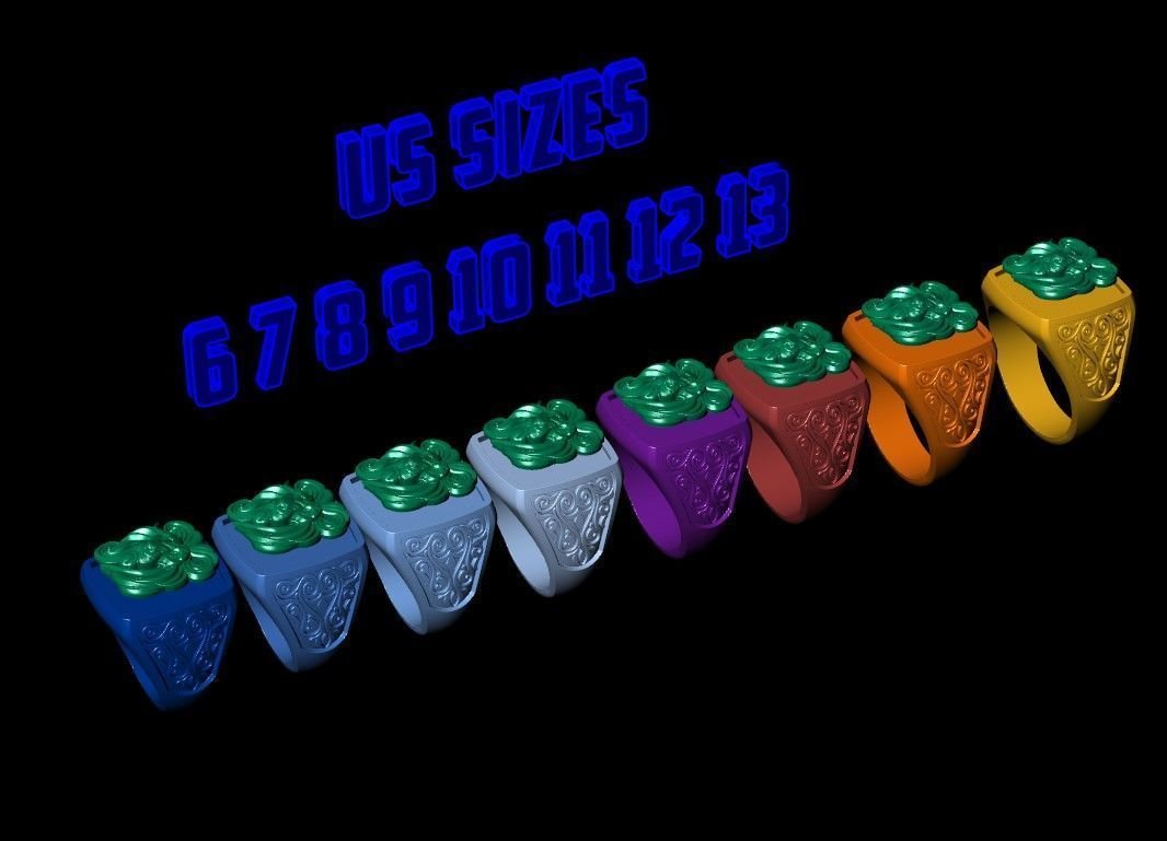 Lion Head Signet 925 Sterling Silver Ring - Image 10