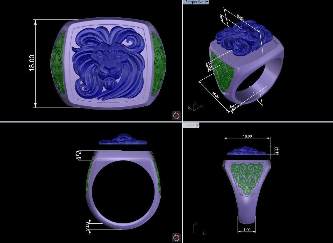 Lion Head Signet 925 Sterling Silver Ring - Image 9