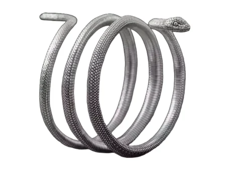 Snake wrap around 925 Sterling Silver ring